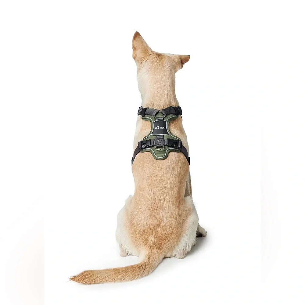 Hunter Divo Harness in Grey Size L (72-100 cm) Chest Circumference